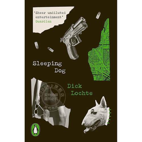 沉睡之犬 迪克·洛赫特 悬疑小说 Penguin Modern Classics系列 英文原版 Sleeping Dog