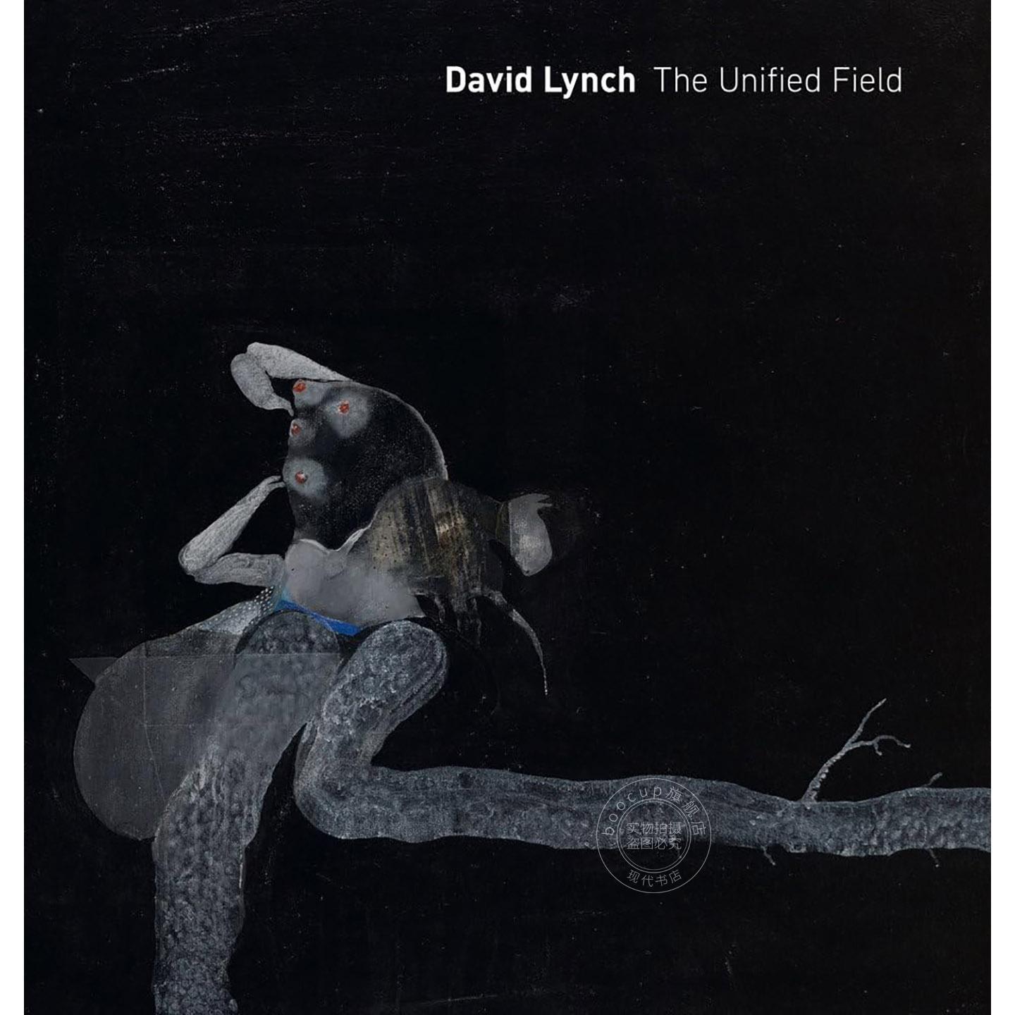 大卫?林奇：统一场域 艺术画集 Robert Cozzolino 英文原版 David Lynch: The Unified Field