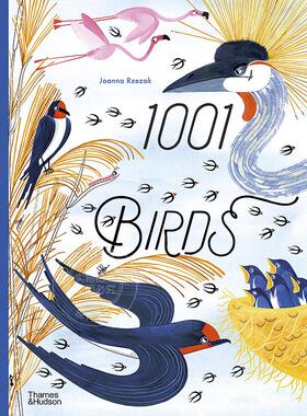 一千零一只鸟 儿童科普绘本故事书 Joanna Rzezak 英文原版 1001 Birds