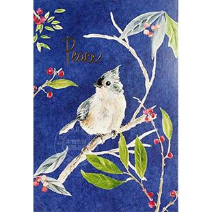 夜晚鸣鸟节日信封贺卡 文创周边 Peter Pauper Press 英文原版 Evening Songbird Small Boxed Holiday Cards