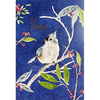 夜晚鸣鸟节日信封贺卡 文创周边 Peter Pauper Press 英文原版  Evening Songbird Small Boxed Holiday Cards
