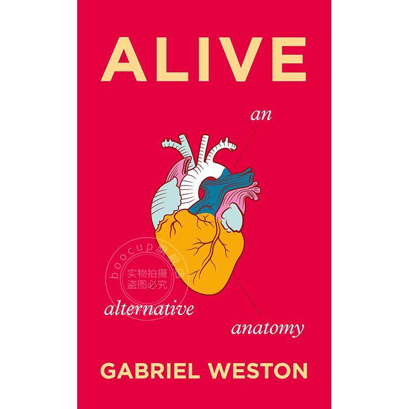 现货 活着 加布里埃尔·韦斯顿 Gabriel Weston 解剖学 英文原版 Alive