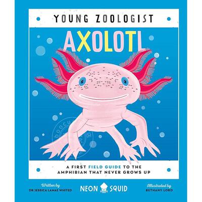 现货 墨西哥钝口螈 少年动物学家系列 永不长大的两栖动物入门指南 英文原版 Axolotl Young Zoologist 5-8岁