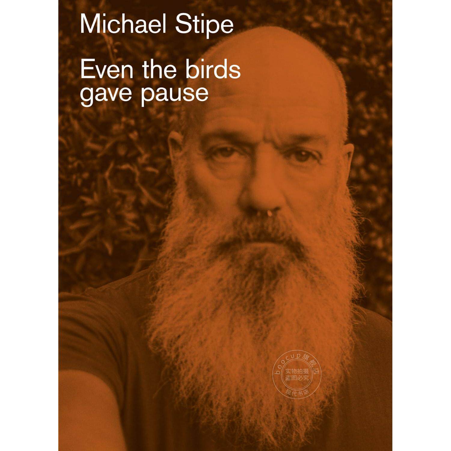 麦可·史戴普摄影集:连鸟儿都暂停了 艺术画册 英文原版 Michael Stipe: Even the Birds Gave Pause