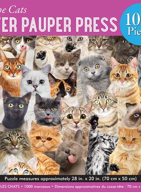 猫咪拼图1000片 文创周边 Peter Pauper Press 英文原版 All The Cats 1000 Piece Jigsaw Puzzle