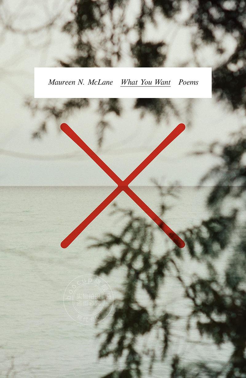 现货 你想要什么 Maureen N. McLane诗集 英文原版 What You Want Poems