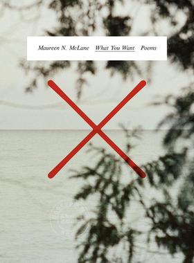 现货 你想要什么 Maureen N. McLane诗集 英文原版 What You Want  Poems