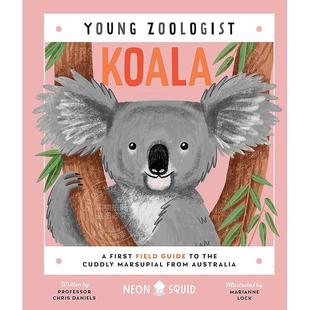 考拉 少年动物学家系列 来自澳大利亚的毛茸茸有袋动物入门指南 英文原版 Koala Young Zoologist 5-8岁
