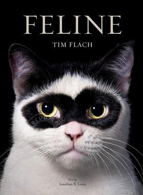 预售 猫科动物：摄影作品 Tim Flach摄影集 英文原版 Feline: Photographs