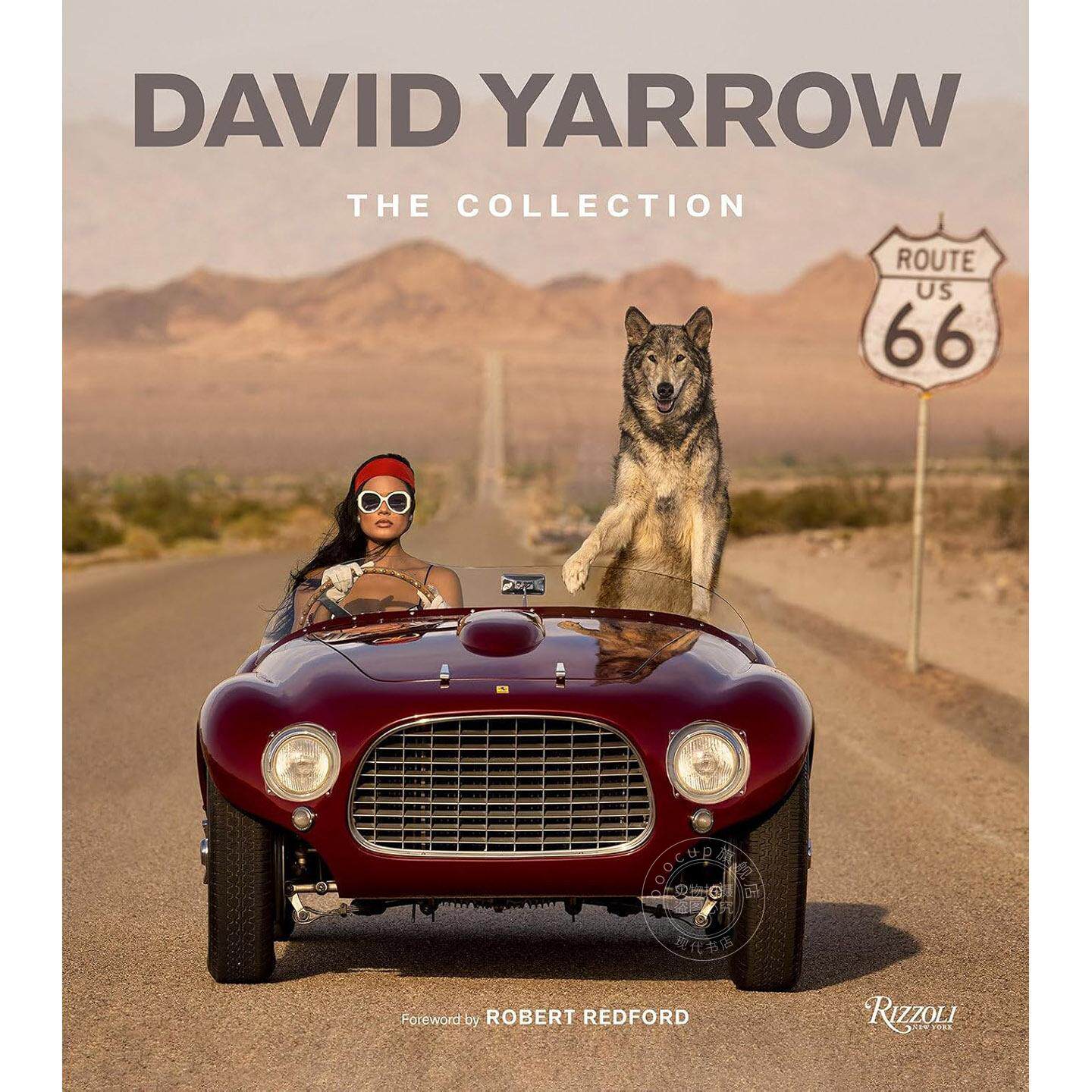 大卫?亚罗摄影集 艺术画集 Rizzoli出版社 英文原版 David Yarrow: The Collection