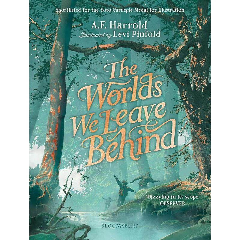遗落之境 2023卡内基插画奖短名单 儿童读物 英文原版 The Worlds We Leave Behind