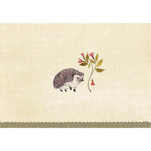刺猬 明信片信封贺卡 文创周边 Peter Pauper Press 英文原版  Hedgehog Note Cards