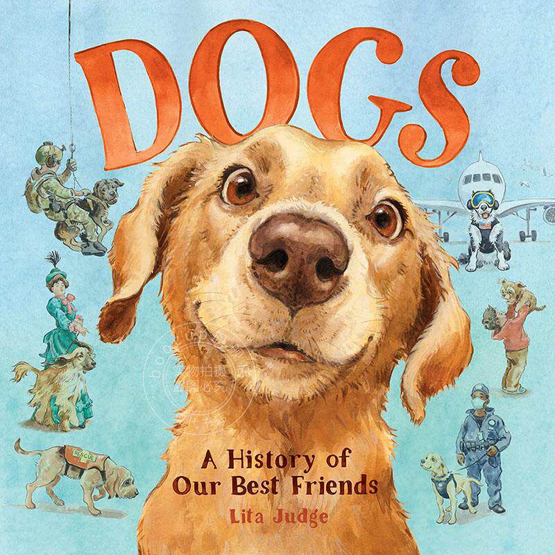 狗狗 人类好朋友的历史 儿童绘本 英文原版 Dogs: A History of Our Best Friends