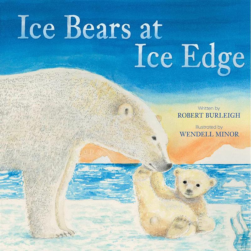 现货 冰雪边缘的北极熊 儿童绘本故事书 英文原版 Ice Bears at Ice Edge