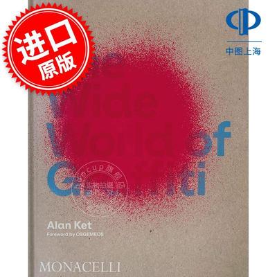 涂鸦的广阔天地 The Wide World of Graffiti 英文原版