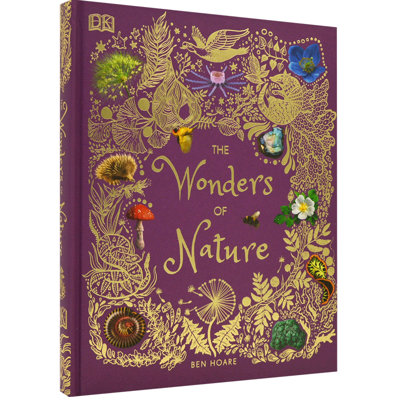 现货 英文原版 DK儿童系列 大自然的奇迹 精装 The Wonders of Nature 百科图解 少儿科普