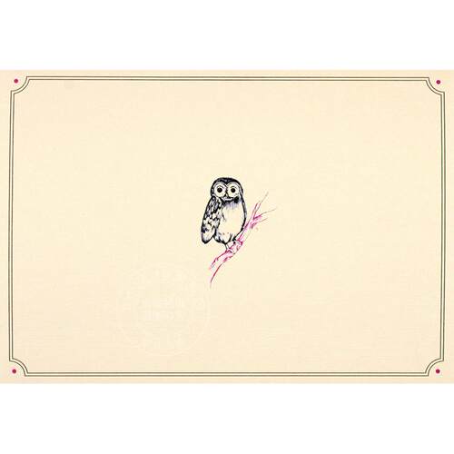 猫头鹰 明信片信封贺卡 文创周边 Peter Pauper Press 英文原版  Owl Note Cards