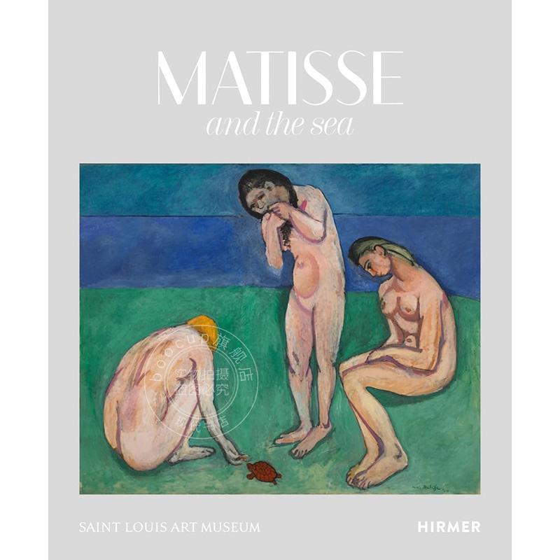 马蒂斯与大海 经典艺术画集 英文原版 Matisse and the Sea