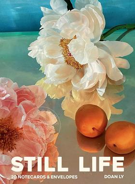 现货 静物记事卡：20 张记事卡和信封 李多安 Doan Ly  英文原版 Still Life Notecards: 20 Notecards and Envelopes