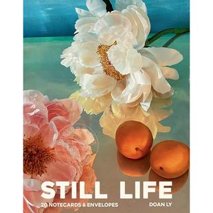 Still 静物记事卡：20 现货 Life and 李多安 张记事卡和信封 Envelopes Doan Notecards 英文原版