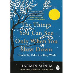 只有当你放慢脚步时，才能看到的事物 Haemin Sunim 英文原版 The Things You Can See Only When You Slow Down