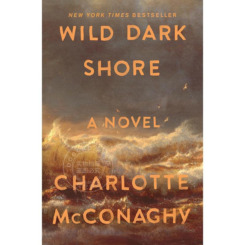 荒野暗岸 Charlotte McConaghy 英文原版 Wild Dark Shore 外国文学小说