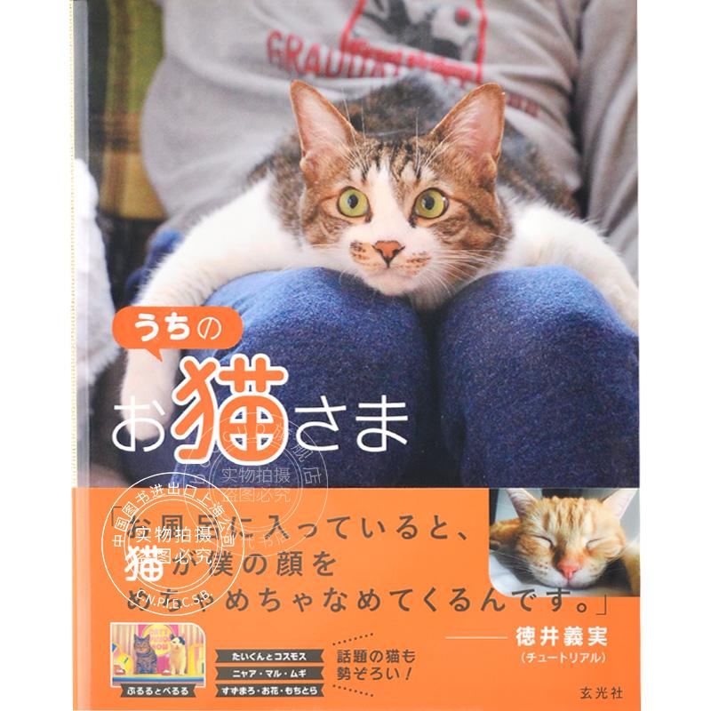 现货 进口日文 猫写真 我家的猫主子 うちのお猫さま
