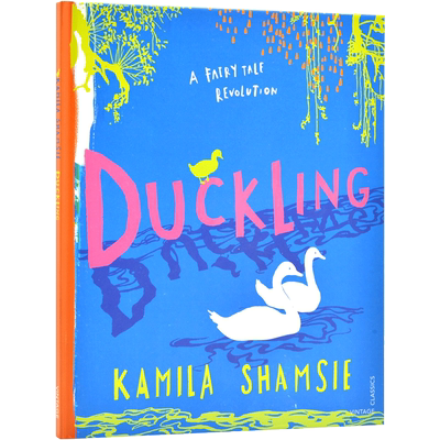 现货 重诉丑小鸭 卡米拉·夏姆斯 重塑童话故事系列 英文原版 Duckling: A Fairy Tale Revolution 不一样的童话故事