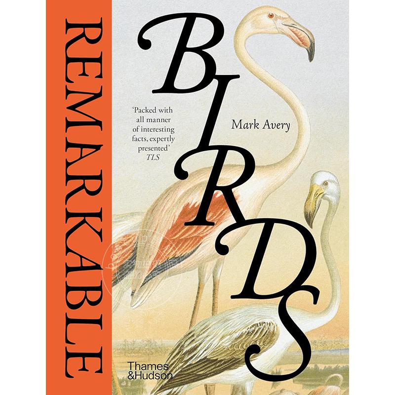 引人注目的鸟类 科普图鉴 Thames & Hudson出版社 英文原版 Remarkable Birds