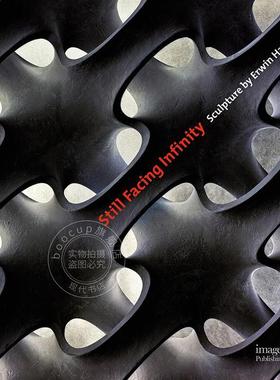 依然面对无限 厄温·内尔的雕塑 艺术画集 英文原版 Still Facing Infinity: Sculpture by Erwin Hauer