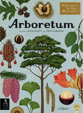 预售 植物园 欢迎来到博物馆系列 儿童科普绘本书 英文原版 Arboretum Big Picture Press