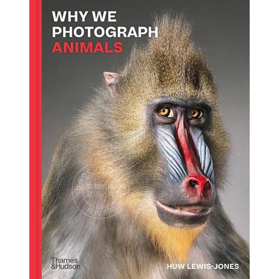 我们为什么拍摄动物 生态摄影 Thames & Hudson出版社 英文原版 Why We Photograph Animals