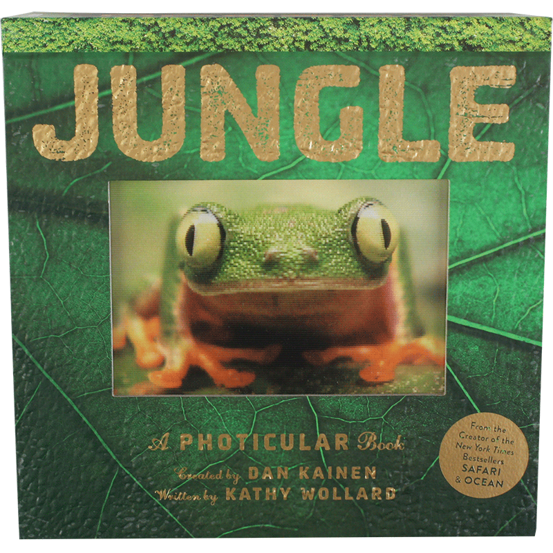 现货 英文原版 Jungle:A Photicular Book 森林 3D立体 会动的书 光与影3D立体视觉儿童书 原版进口童书 精装