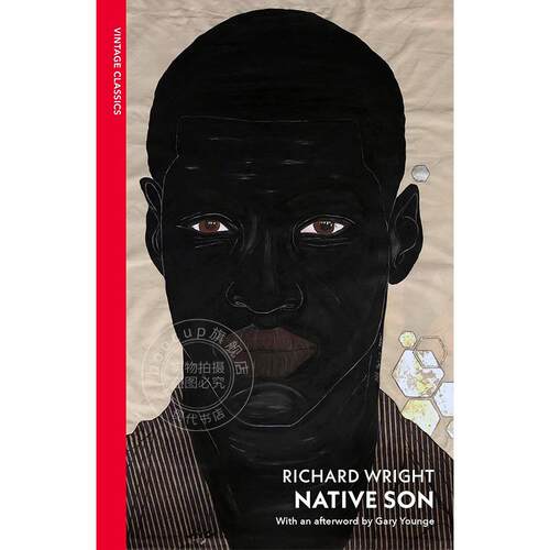 预售 土生子 理查德·赖特 Richard Wright vintage classics系列 英文原版 Native Son
