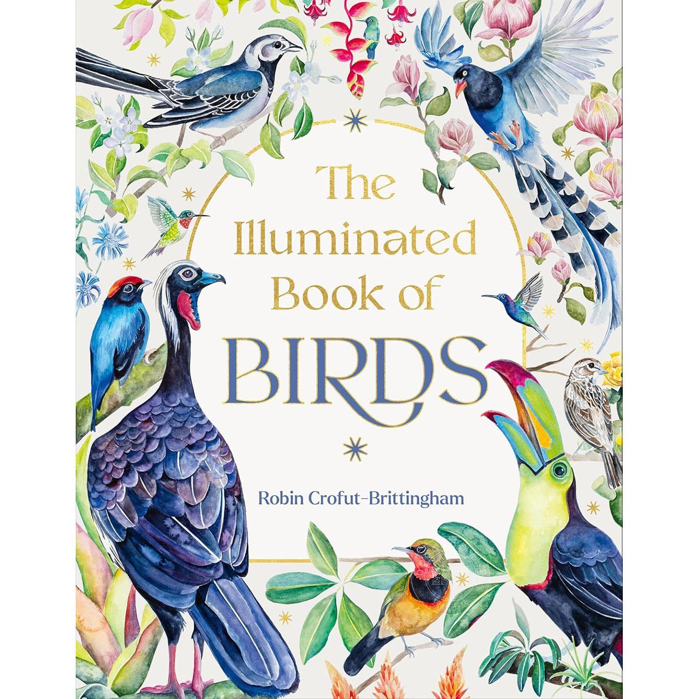 鸟类插图百科全书 自然科学 Robin Crofut-Brittingham 英文原版 The Illuminated Book of Birds