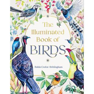 现货 鸟类插图百科全书 自然科学 Robin Crofut-Brittingham 英文原版 The Illuminated Book of Birds