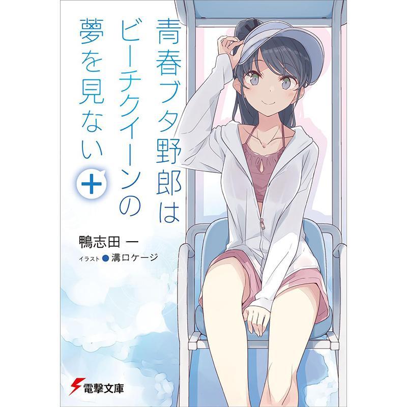 现货 进口日文 轻小说 青春猪头少年不会梦见沙滩皇后 短篇集 青春ブタ野郎はビーチクイーンの夢を見ない+