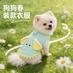 狗狗春款衣服2026新款博美轻薄春装薄款春夏高颜值背心外出小体