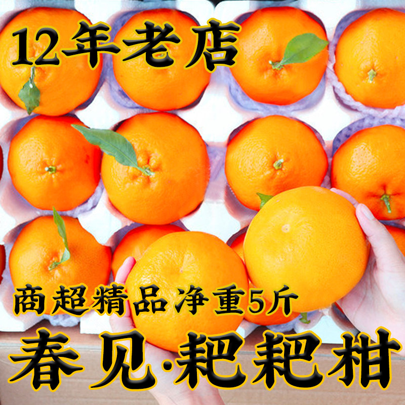 四川春见耙耙柑8斤新鲜现摘孕妇纯甜水果整箱礼盒粑粑柑橘子包邮,水产肉类/新鲜蔬果/熟食,桔子,淘宝优惠券,粉丝福利购,淘宝优惠卷