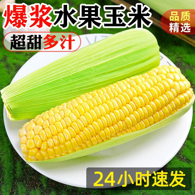 新鲜现摘超甜黄金水果玉米9斤整箱广西非转基因大棒苞谷玉米蔬菜5