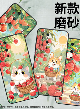 适用r2手机壳手机r2水果荔枝坚果r1荔枝熊猫DT2002C高级感情侣防摔男女款中国风国潮全包边潮流in风个性耐脏