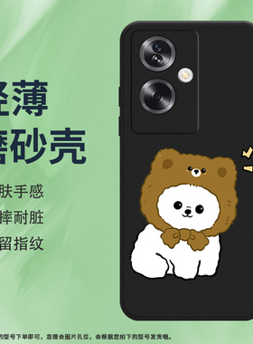 适用一加NordN30SE手机壳5G全包边1+磨砂套CPH2605手机套膜萌狗摇摆防摔银灰创意OnePlus中国风硅胶保护壳*