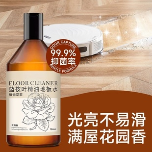 蓝桉叶精油香氛地板清洁剂木地板瓷砖洗地机专用清洁液去污渍抑菌