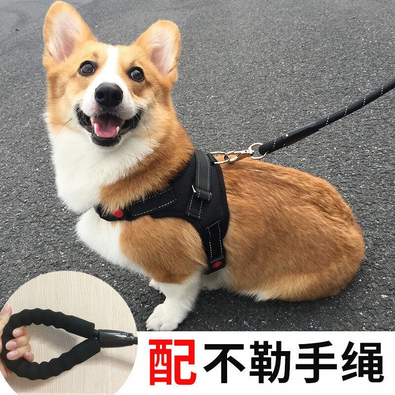 狗狗牵引绳背心式遛狗绳子泰迪法斗柯基中型小型犬宠物用品胸背带