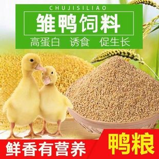 3个月雏鸭小颗粒高钙开口料柯尔鸭饲料芦丁鸡鹅通用 厂家直销0