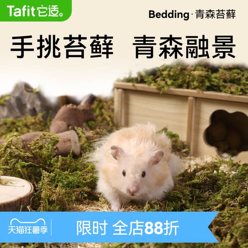 森系造景 挖刨打洞