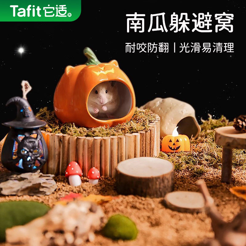 它适南瓜仓鼠陶瓷窝躲避屋金丝熊睡窝冰屋小屋房子冬天季降温用品,宠物/宠物食品及用品,窝,淘宝优惠券,粉丝福利购,淘宝优惠卷