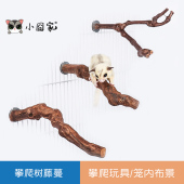 蜜袋鼯攀爬玩具鹦鹉鸟葡萄树藤蔓木跳台蜜袋鼬爬绳松鼠笼子用品