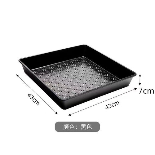 加高正方盘育苗盘多肉搬运框