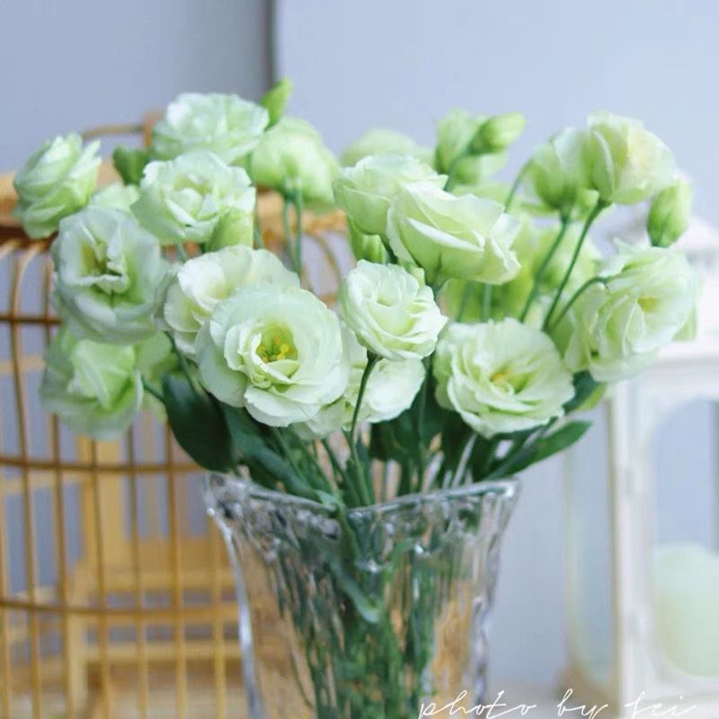 洋桔梗鲜花团购云南直发同城配送速递婚礼单双头百合花水培混搭